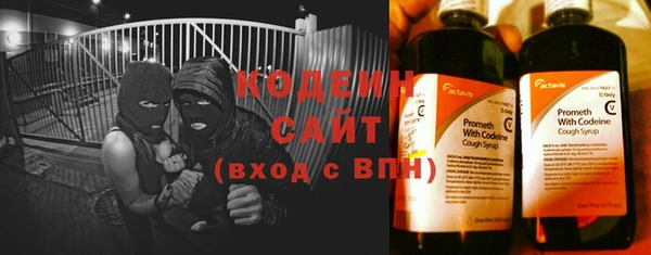 шишки Гусь-Хрустальный