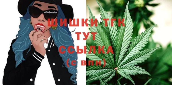 бошки Горнозаводск