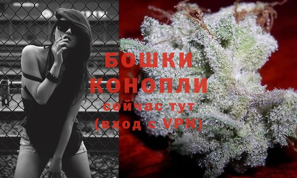 бошки Горнозаводск