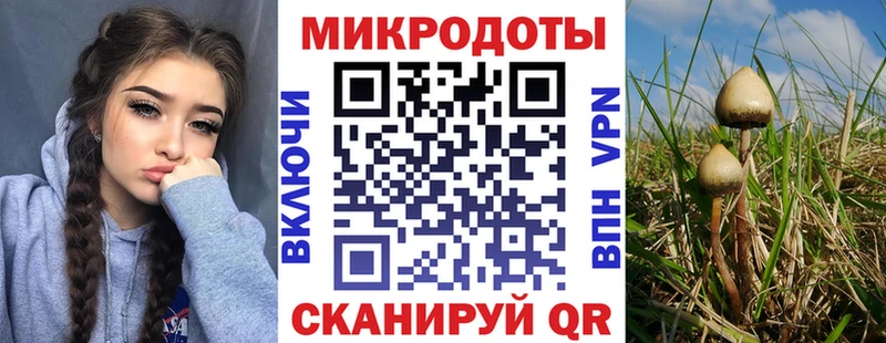 Псилоцибиновые грибы MAGIC MUSHROOMS  Южно-Сахалинск 